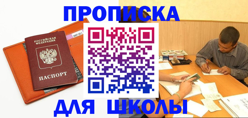 форма 3 в Камчатском крае